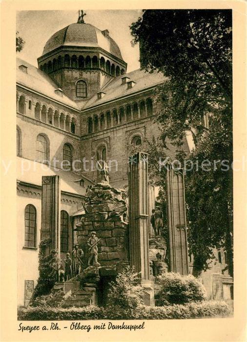 Speyer Rhein oelberg Domkuppel