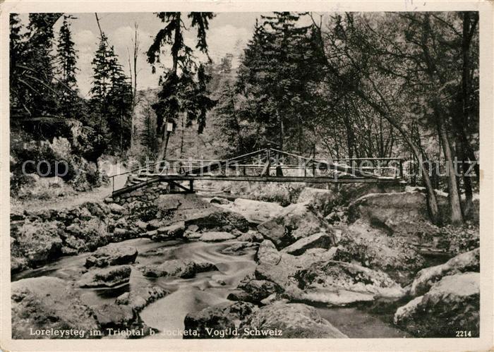 Jocketa Loreleysteg im Triebtal