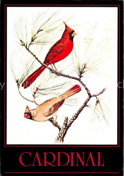 Voegel Birds Oiseaux Uccelli Pajaros-- Cardinal