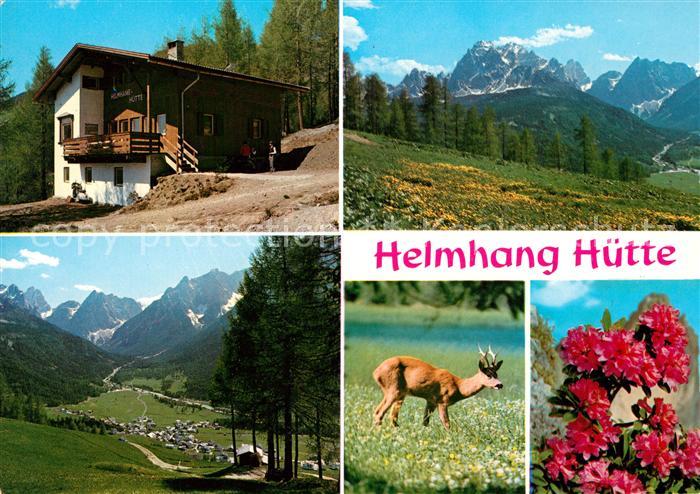 Sexten Sesto Suedtirol Helmhang Huette Landschaftspanorama Reh Alpenflora Dolomi
