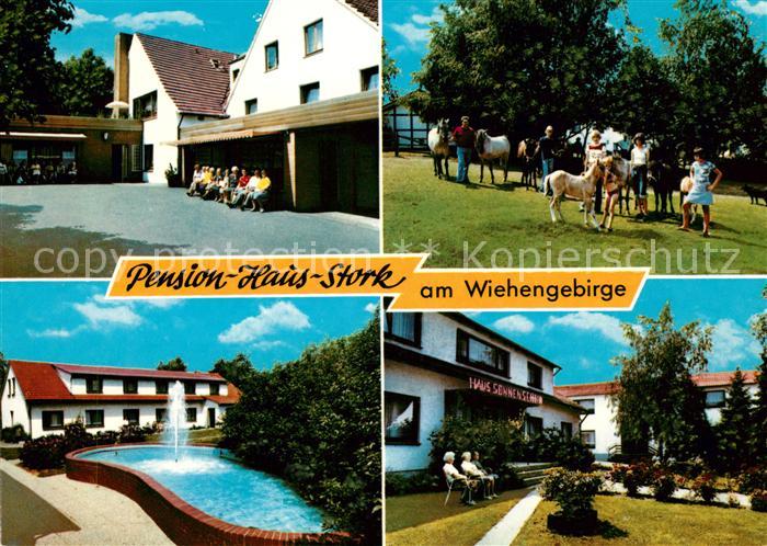 Bad Holzhausen Luebbecke Pension Haus Stork am Wiehengebirge Ponys