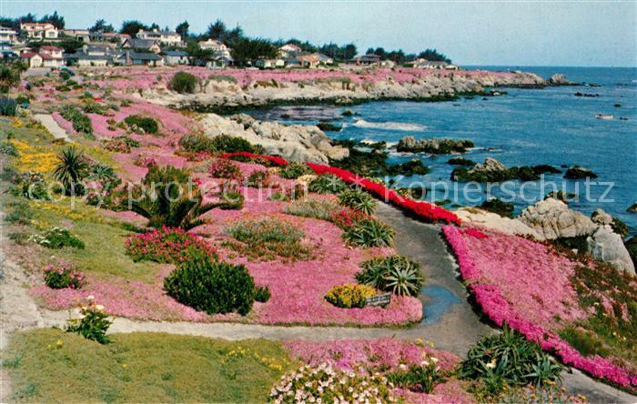 Monterey California Peninsula Lovers-Point