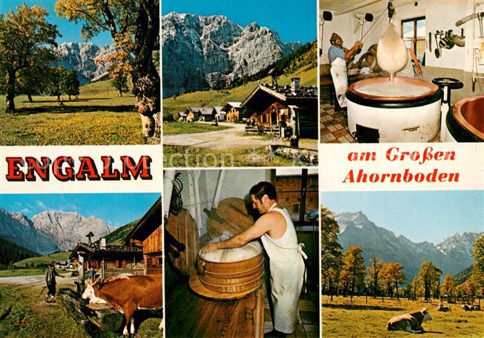 Engalm Rasthuette Engalm Ahornboden Kuehe