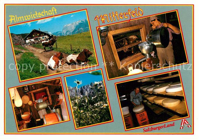 Muehlbach Hochkoenig Almwirtschaft Mitterfeld Kaeserei