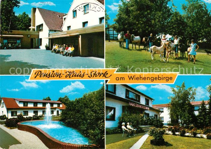 Bad Holzhausen Luebbecke Pension Haus Stork am Wiehengebirge Ponys