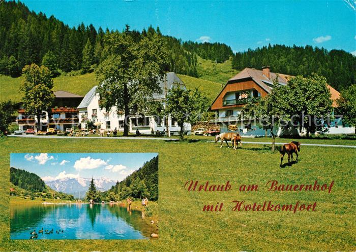 Rossleithen Urlaub am Bauernhof  Pferde Badesee