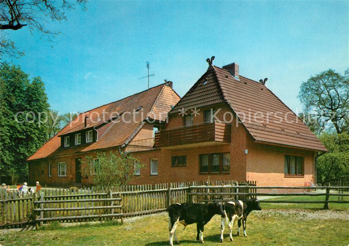 Undeloh Pension Luehr Kuehe