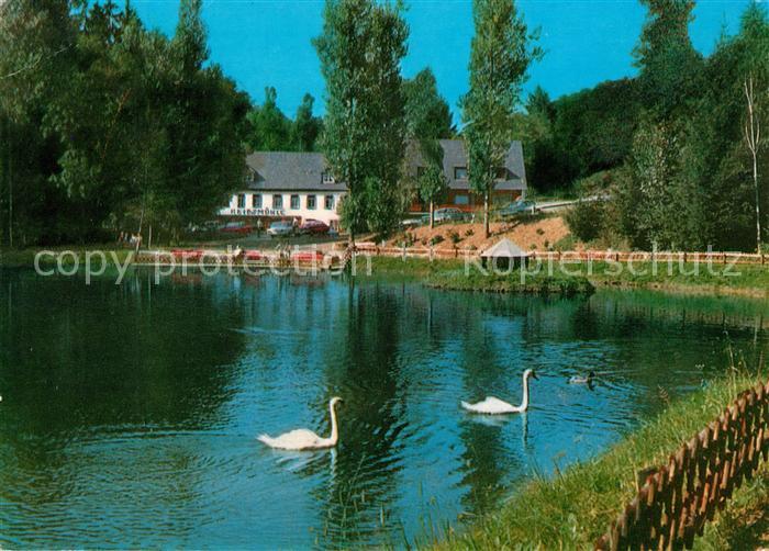 Manderscheid Eifel Hotel Cafe Heidsmuehle Schwanenteich