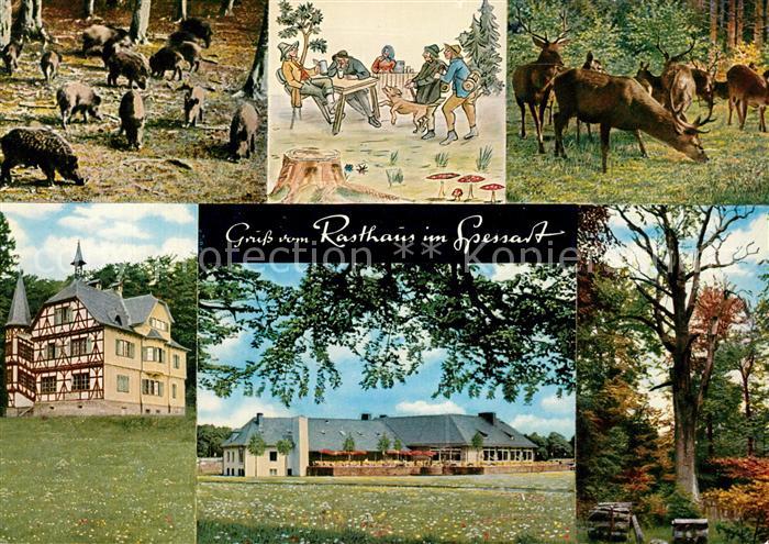 Rohrbrunn Autobahn Rasthaus im Spessart Motel Wildschweine Rehe Hirsche Wild