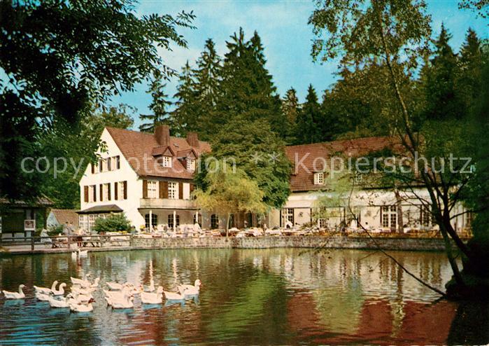 Leopoldstal Lippe Waldhotel Pension Silbermuehle Schwanenteich Teutoburger Wald