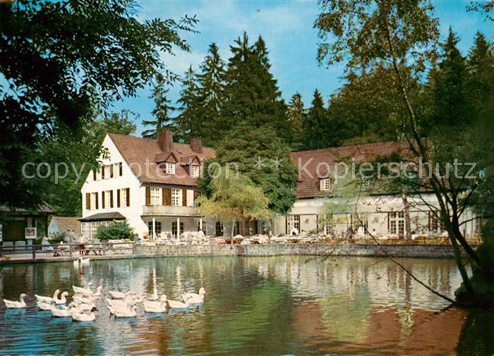 Horn-Bad Meinberg Waldhotel Pension Silbermuehle Schwanenteich Teutoburger Wald