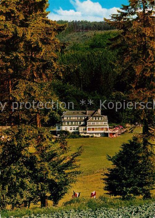 Rimberg Schmallenberg Hotel Pension Knoche Ansicht vom Waldrand aus