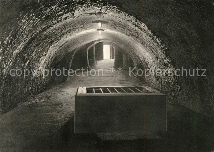 Dillenburg Wilhelmsturm Krautkeller Schlossbrunnen