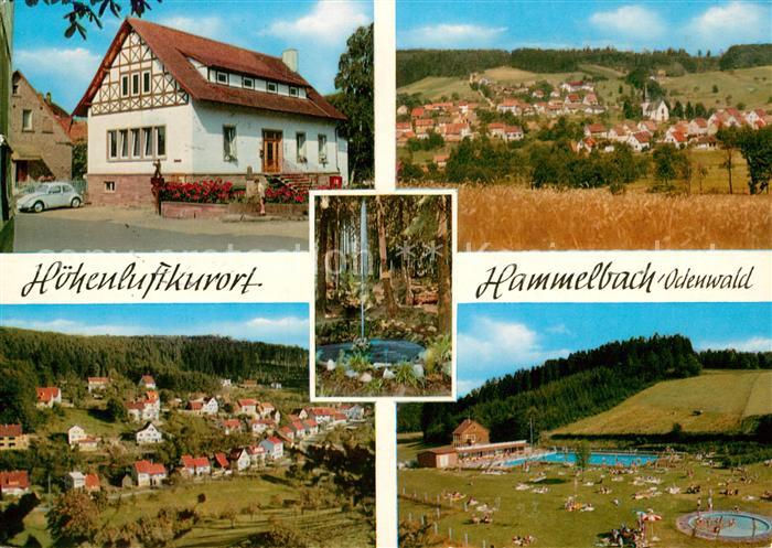 Hammelbach Gasthaus-Pension Jaegerhof Freibad