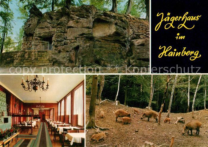 Sehlde Salzgitter Jaegerhaus im Hainberg Wildschweine