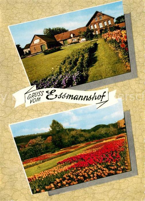 Deckbergen Essmannshof Tulpenbluete