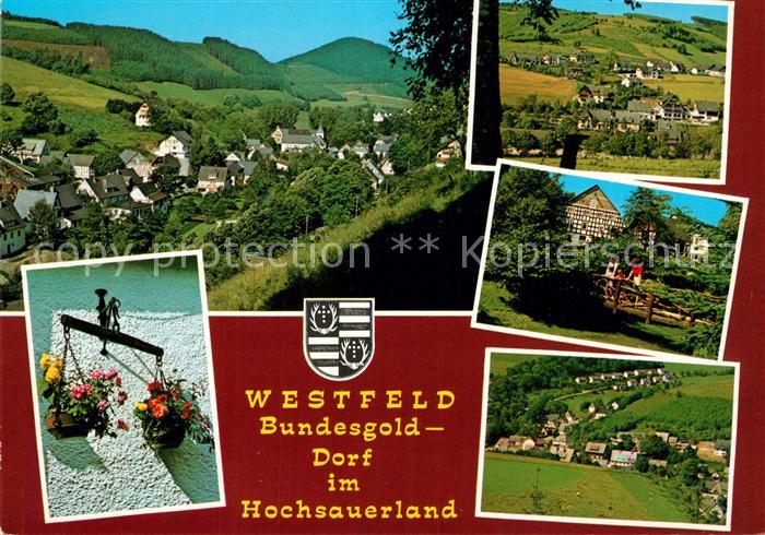 Westfeld Sauerland Blumenampel Panorama