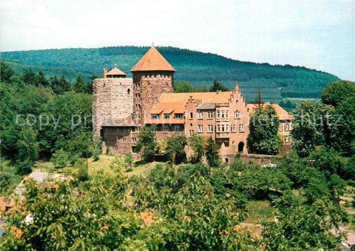 Rieneck Burg