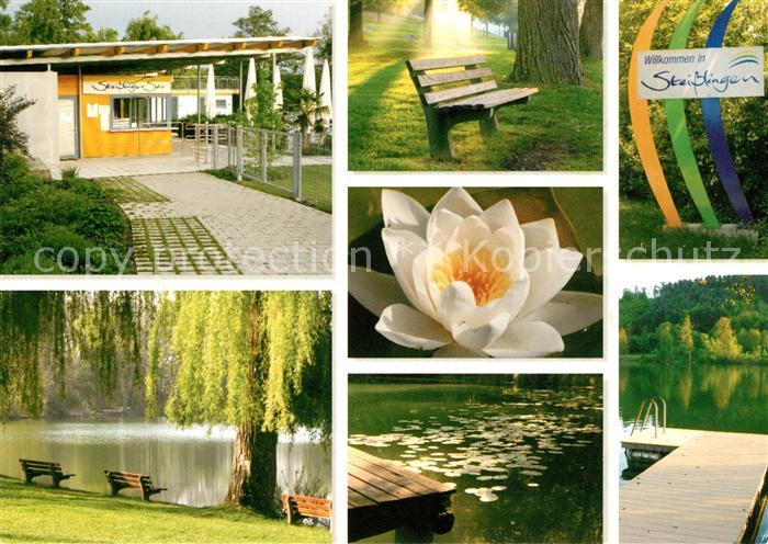 Steisslingen Park Seerose Teich