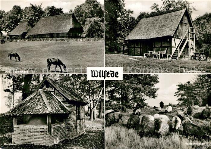 Wilsede Lueneburger Heide Altes Bauernhaus Treppenspeicher Backhaus Heidschnucke
