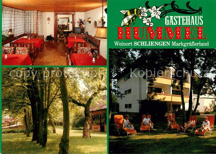 Schliengen Gaestehaus Hummel Gaststube Liegewiese