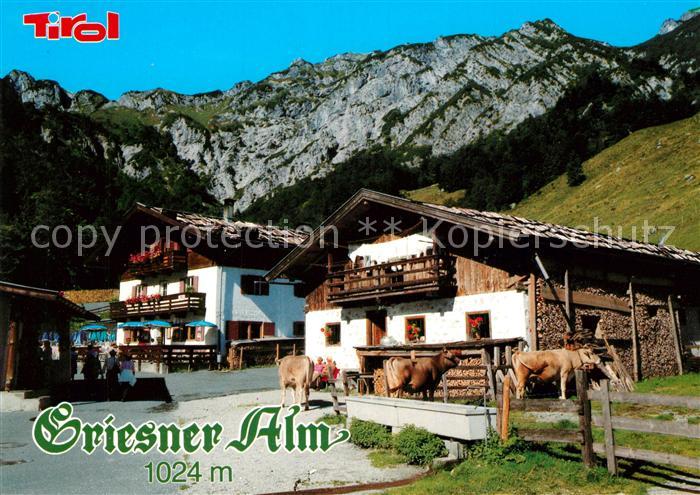Wilder Kaiser Griesner Alm Alpengasthaus