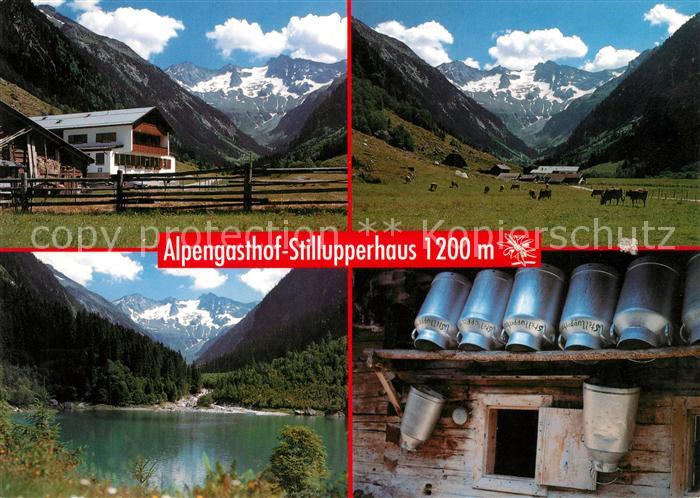Mayrhofen Zillertal Alpengasthof Stillupperhaus