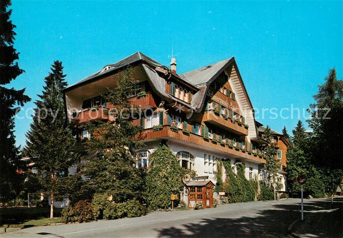 Titisee Schwarzwald-Hotel
