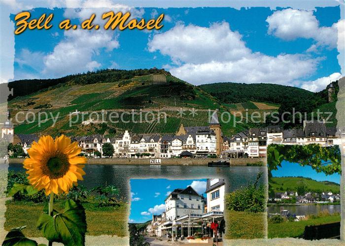 Zell Mosel Sonnenblume Blick ueber die Mosel zur Stadt Hotel Restaurant
