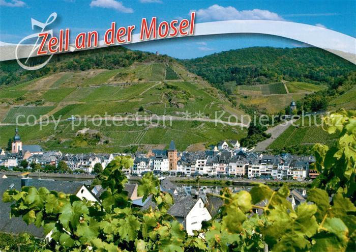 Zell Mosel Panorama Blick ueber die Mosel Weinberge