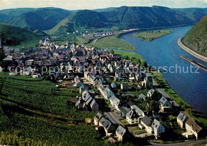 Treis-Karden Panorama Moseltal