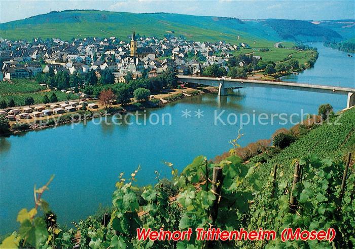 Trittenheim Mosel Panorama Blick von den Weinbergen Moseltal