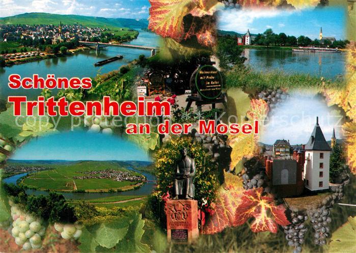 Trittenheim Mosel Panorama Blick von den Weinbergen Moseltal Grosse Moselschleif