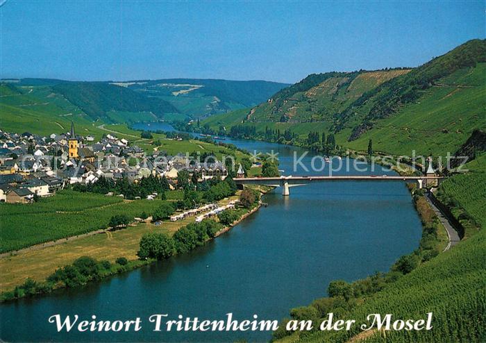 Trittenheim Mosel Panorama Blick von den Weinbergen auf die Mosel