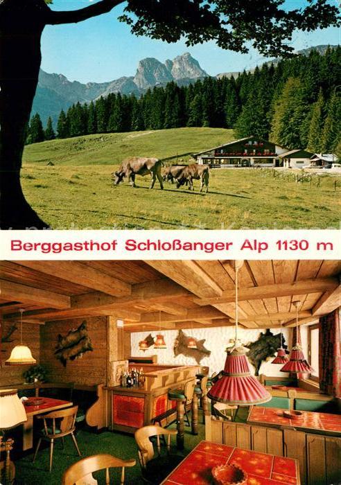 Obermeilingen Pfronten Berggasthof Schlossanger Alp Almvieh Landschaftspanorama