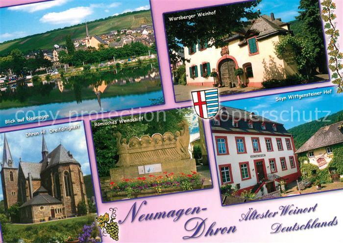 Neumagen-Dhron Warsberger Weinhof Roemisches Weinschliff Sayn Wittgensteiner Hof