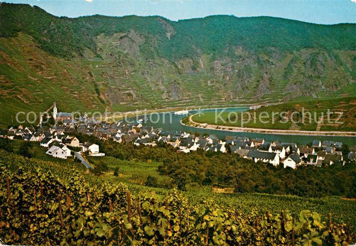 Bremm Mosel Panorama Moseltal mit Klosterruine Stubben