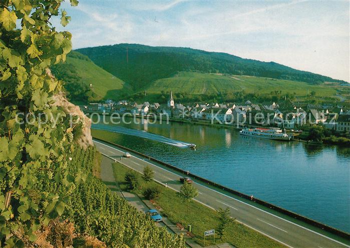 Briedern Panorama Moseltal Weinberge