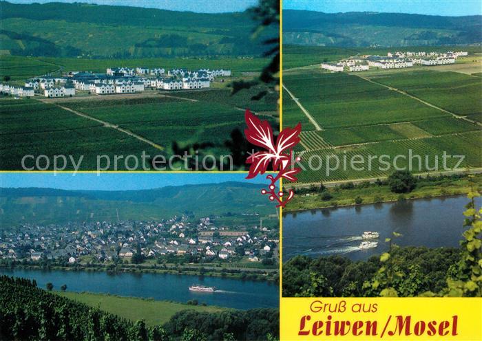 Leiwen Mosel Ferienzentrum Erlebnisland Eurostrand Panorama Blick ueber die Mose
