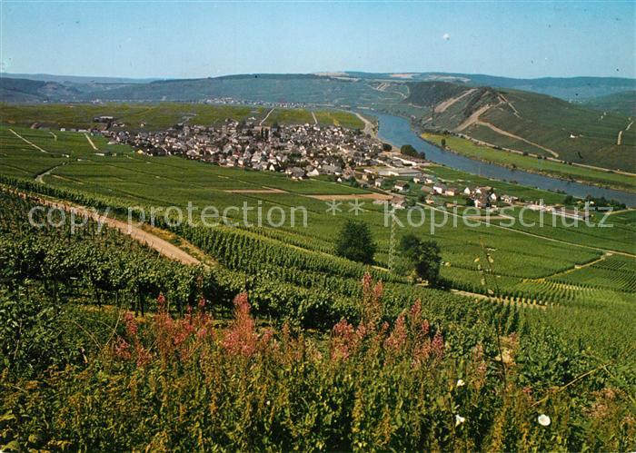 Leiwen Mosel Panorama Moseltal Weinberge Ferienzentrum