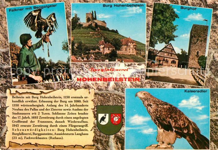 Beilstein Wuerttemberg Burgfalknerei Hohenbeilstein Kalseradler Vogel Burg Burgh