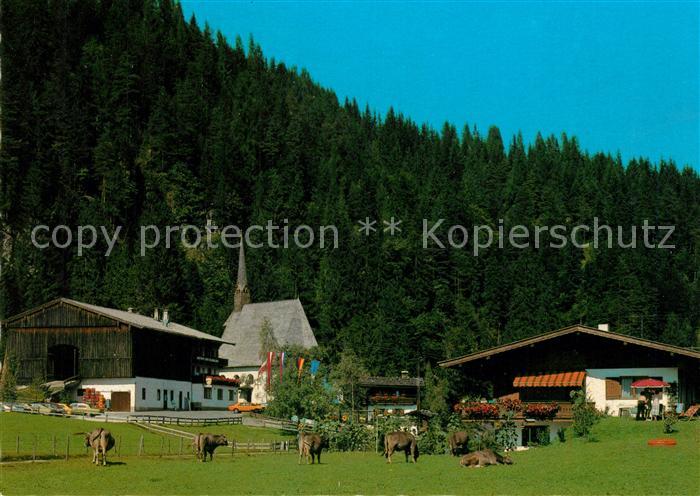 St Adolari Ortsmotiv mit Kirche Viehweide Kuehe Wallfahrtsort