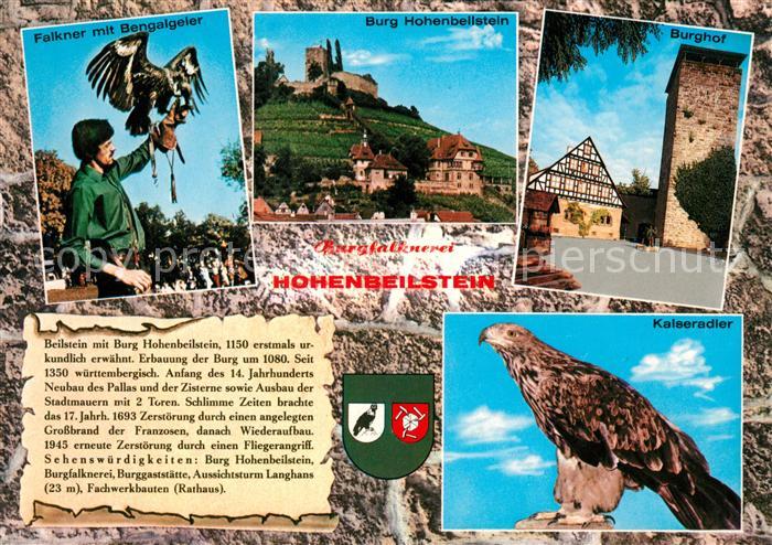 Beilstein Wuerttemberg Burg Hohenbeilstein Burghof Falkner Kalseradler Chronik W