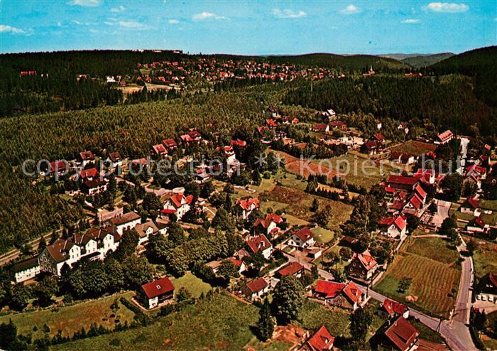 Hahnenklee Auerhahn Fliegeraufnahme Bockswiese