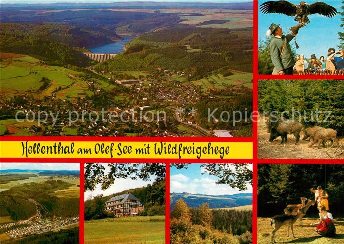 Hellenthal Eifel Fliegeraufnahme Olef See Wildfreigehege Campingplatz