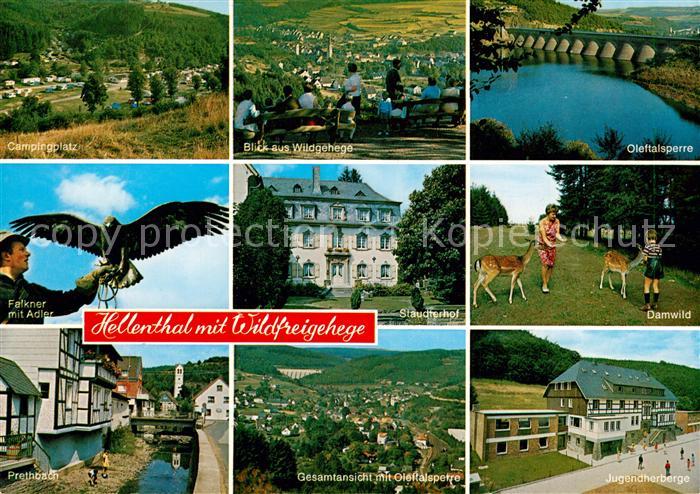 Hellenthal Eifel Oleftalsperre Fliegeraufnahme Jugendherberge Prethbach Campingp