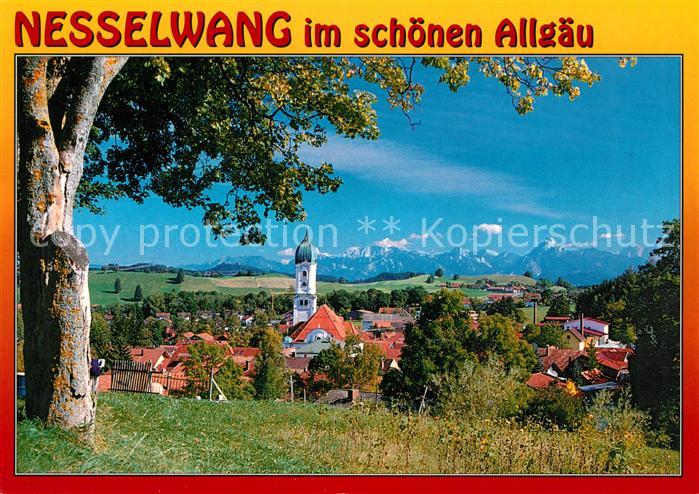 Nesselwang Stadtpanorama mit Alpenkette