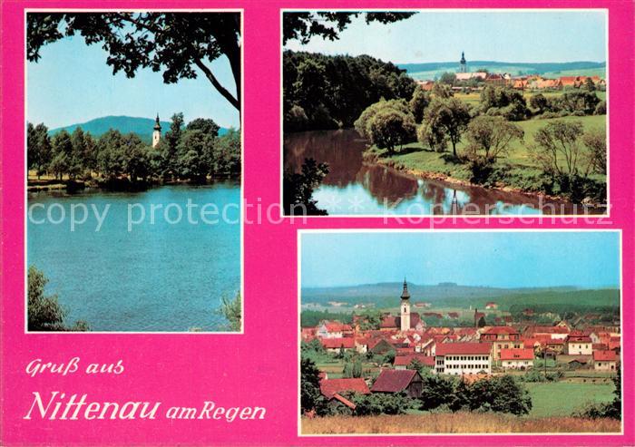 Nittenau Blick ueber den Regen Landschaftspanorama Gesamtansicht