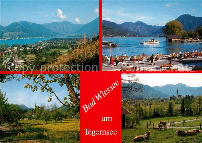 Bad Wiessee Alpenpanorama Uferpromenade Landschaftspanorama