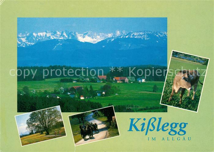 Kisslegg Landschaftspanorama mit Alpenkette Kutschfahrten Kuh